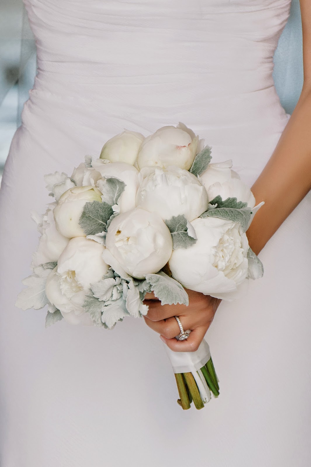 white peony and dusty miller bouquet by Myrtie Blue white peony and dusty miller bouquet by Myrtie Blue